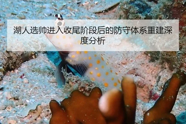 湖人选帅进入收尾阶段后的防守体系重建深度分析