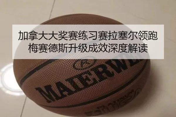 jia-na-da-da-jiang-sai-lian-xi-sai-la-sai-er-ling-pao-mei-sai-de-si-sheng-ji-cheng-xiao-shen-du-jie-du-2-260.jpg